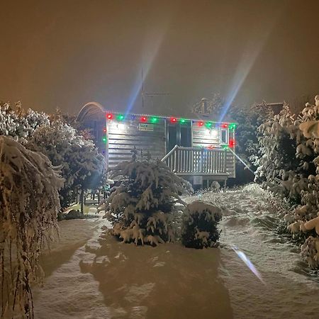 The Little John Petite Cosy Log Cabin - Sleeps 2, Great For Romantic Breaks, Couples, Single Guests, Near Sherwood Forest At Fairview Farm, Nottingham Set In 88 Acres Blidworth Exterior photo