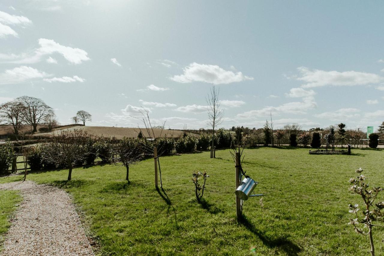 The Little John Petite Cosy Log Cabin - Sleeps 2, Great For Romantic Breaks, Couples, Single Guests, Near Sherwood Forest At Fairview Farm, Nottingham Set In 88 Acres Blidworth Exterior photo
